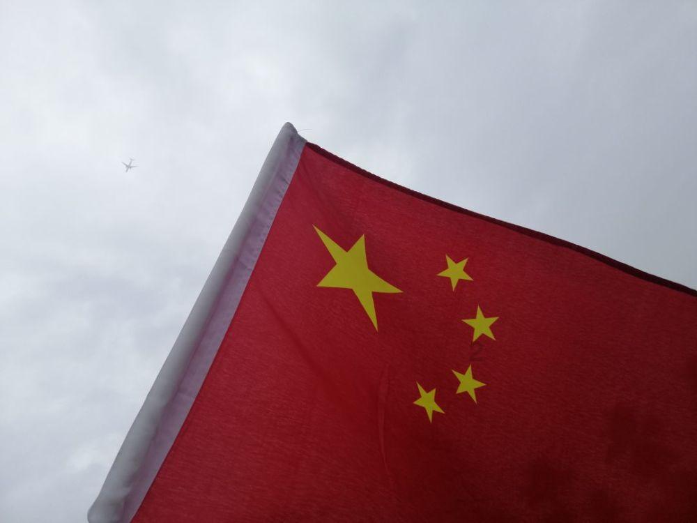 有趣的动物拼图